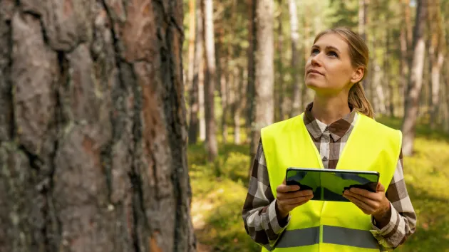 female forestry worker 