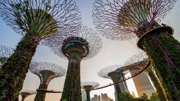 Supertree Gardens, Singapore