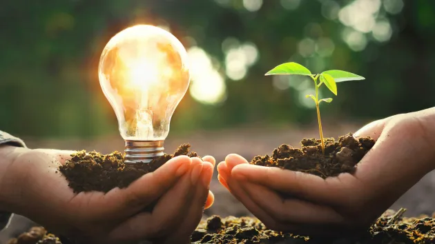Lightbulb depicting innovation
