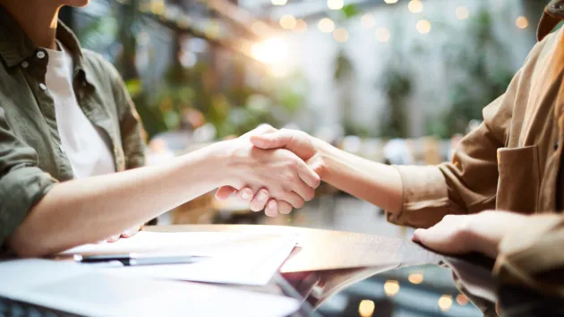 Handshake, business deal