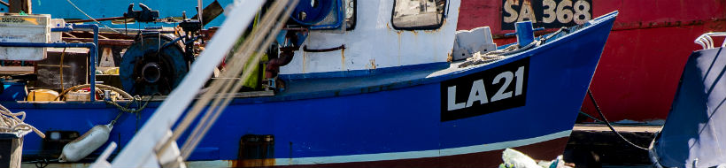 fishing boats