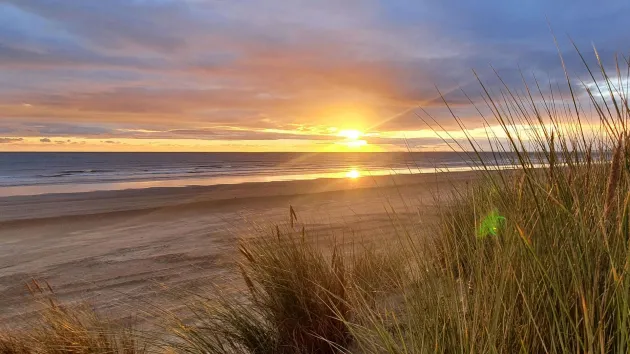 sunset
