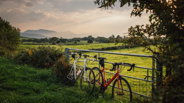 Bikes on Lon Eifion cycle path