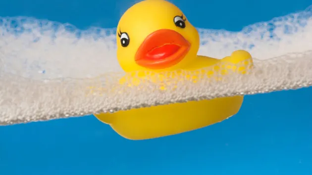 rubber duck in a bath