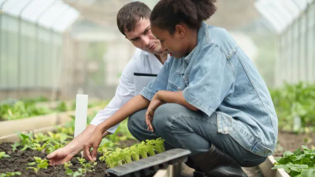 apprentice working in a greenhouse