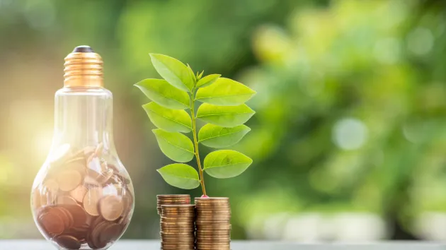 lightbulb and coins