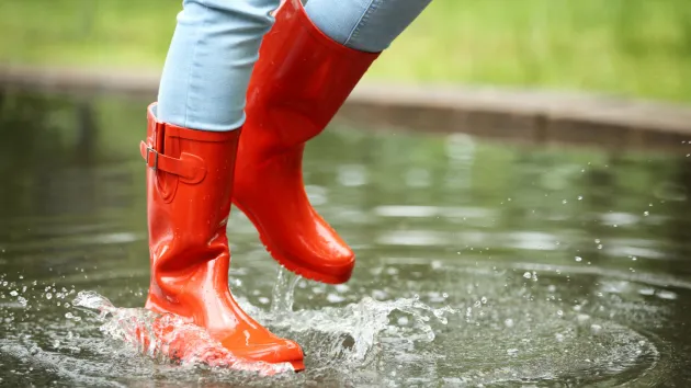 person wearing wellington boots 