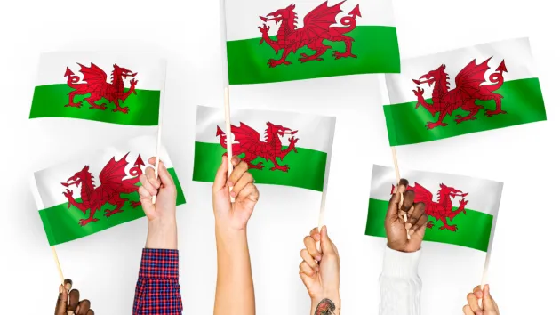 People holding Welsh flags