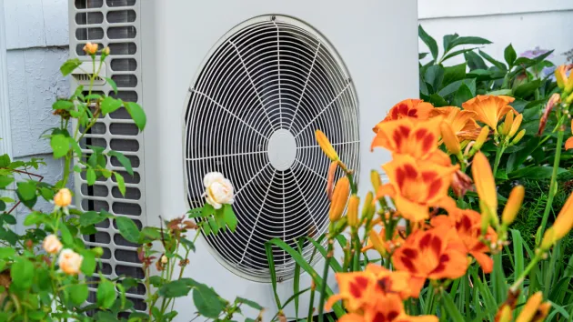 Heat pump on side of house - garden with flowers