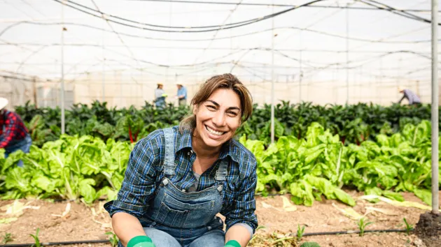 Farmer in South America 