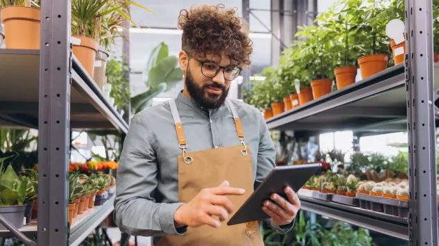 small business owner looking at a digital device 