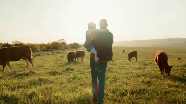 farmer and daughter in a field of cows