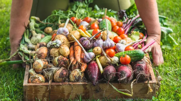Box of vegetables