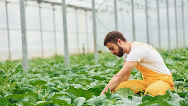 agricultural worker