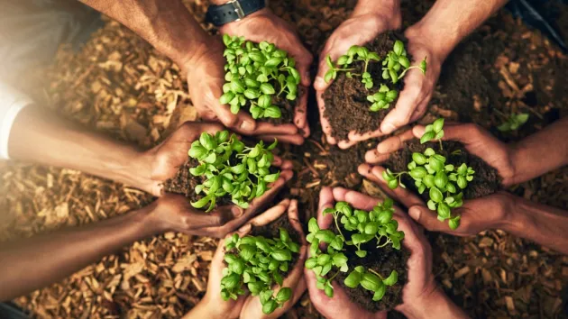 Diverse group of people holding sustainable plants in an eco friendly environment for nature conservation.