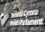 Senedd Cymru - Welsh Parliament 