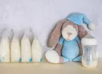 Baby feeding bottles, milk and a teddy bear.