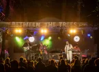 Between the trees festival
