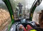 Forestry worker in Wales 