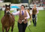 Person showing a horse at the Royal Welsh Show