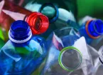 Plastic bottles 