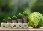 Net Zero concept