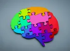 Jigsaw pieces in the shape of a brain