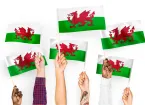 People holding Welsh flags