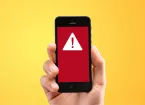 scam warning on a mobile phone 