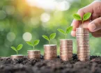 stacks of coins with plant shoots