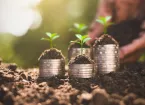 Piles of coins and plant shoots - business growth and investment 