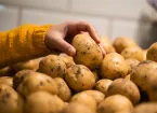 someone picking potatoes at a supermarket 
