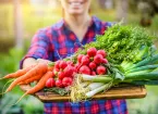 farmer holding produce - carrots and radish
