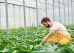 agricultural worker 