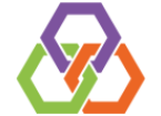 Raven Delta Group logo